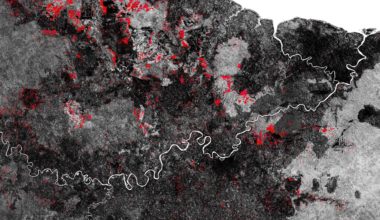 Space satellite image showing a river