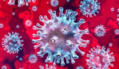 Image of coronavirus