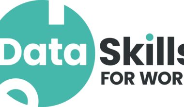 Data skills for work logo