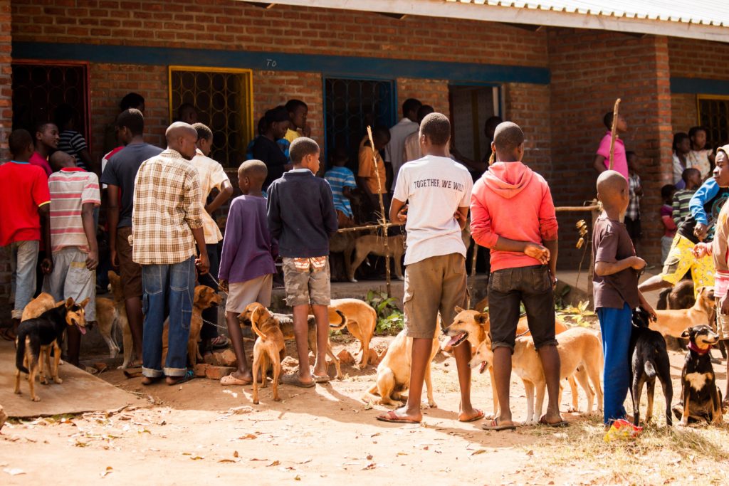 Image of Vaccine drop in centre, Malawi