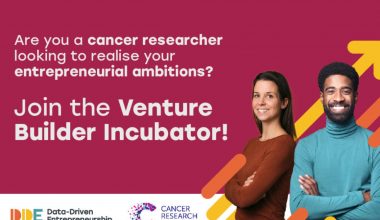 image of the DDE venture builder