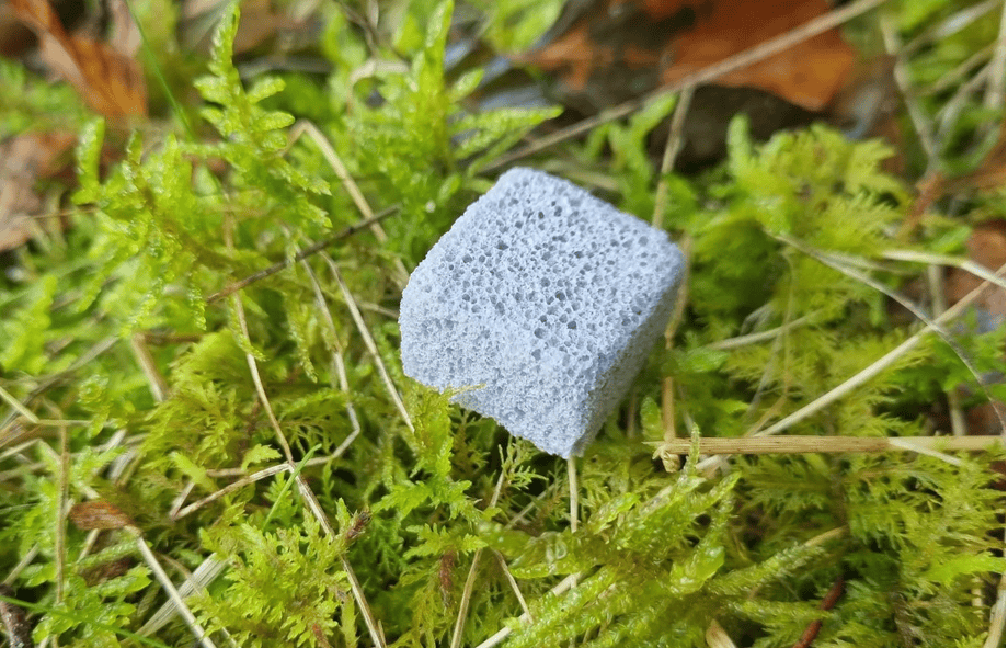 Image of the RhizoPellet, by Rhizacore Technologies, which contains locally sourced fungi, bespoke to each planting site.